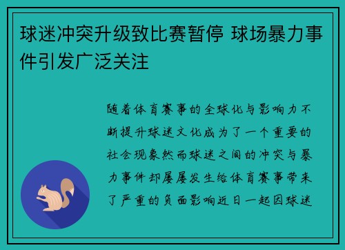 球迷冲突升级致比赛暂停 球场暴力事件引发广泛关注