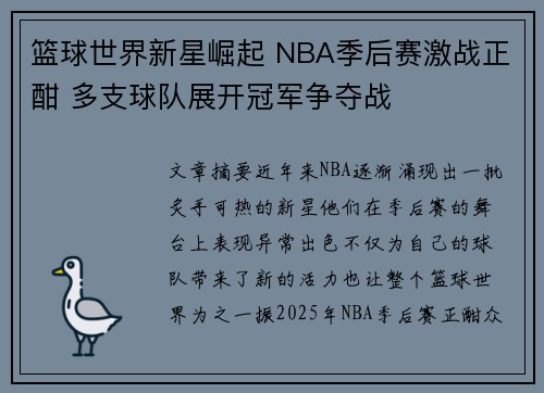 篮球世界新星崛起 NBA季后赛激战正酣 多支球队展开冠军争夺战