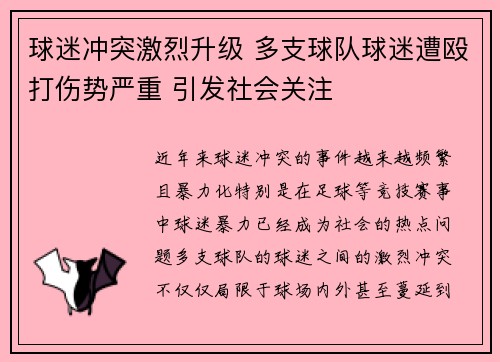 球迷冲突激烈升级 多支球队球迷遭殴打伤势严重 引发社会关注